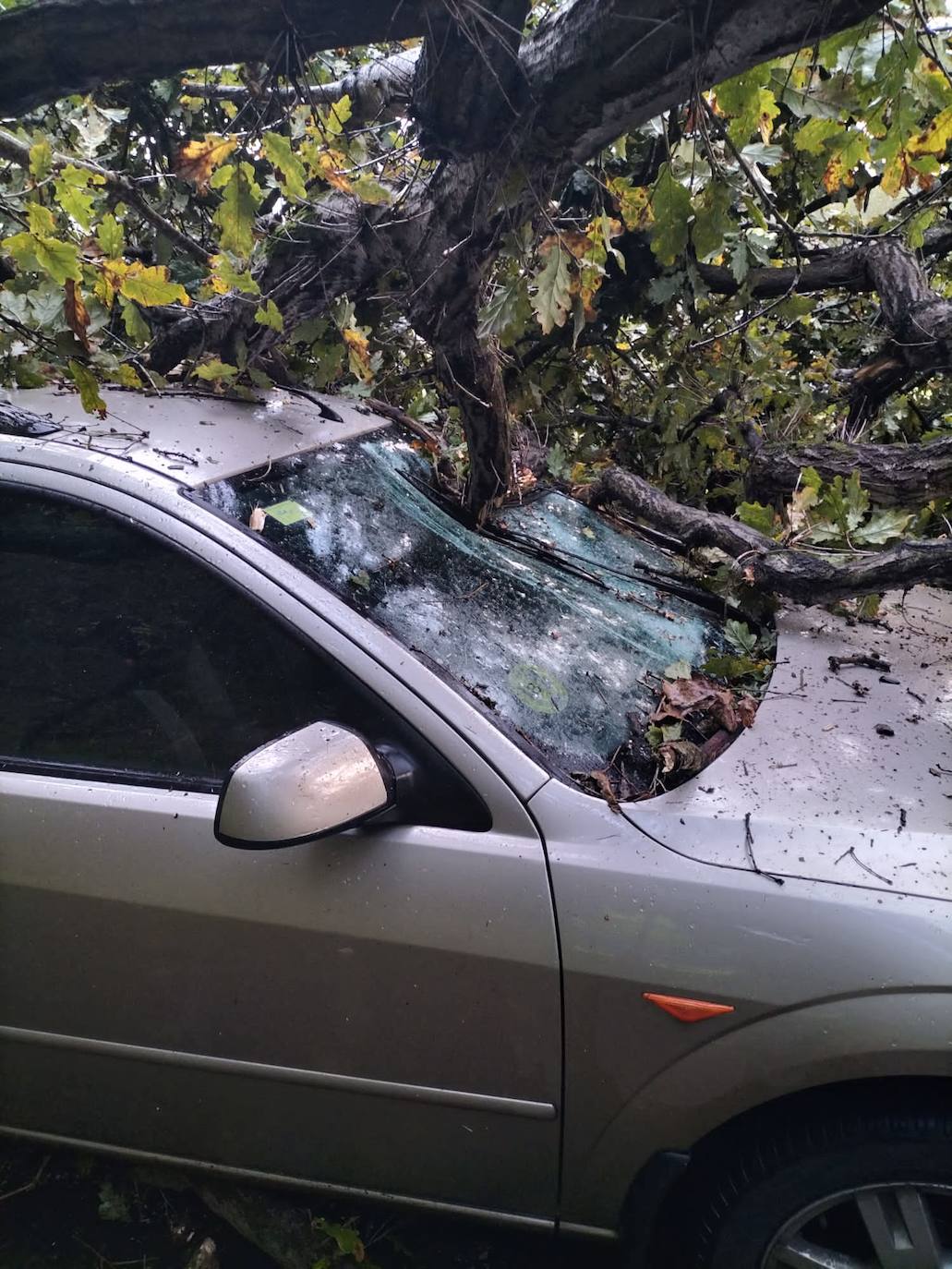 Fotos Las Fuertes Rachas De Viento Dejan Destrozos Por Toda Asturias